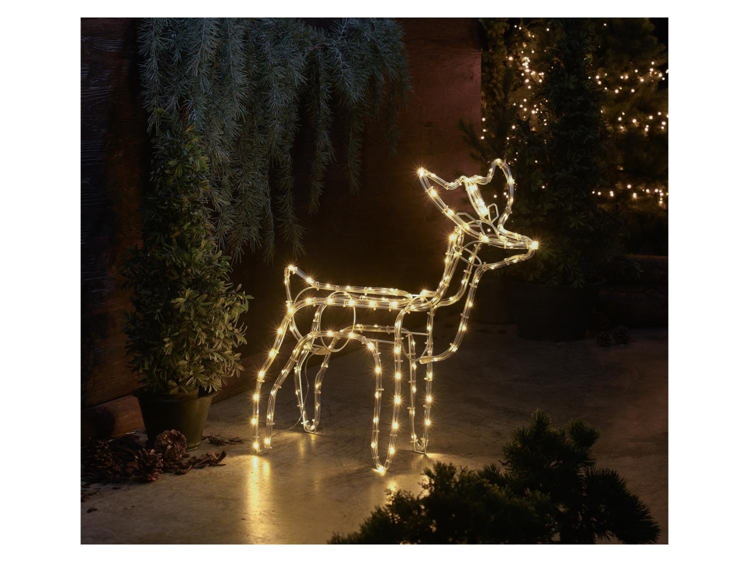 Richtig gnstig: Lidl hat die schnste Weihnachtsdeko fr drauen